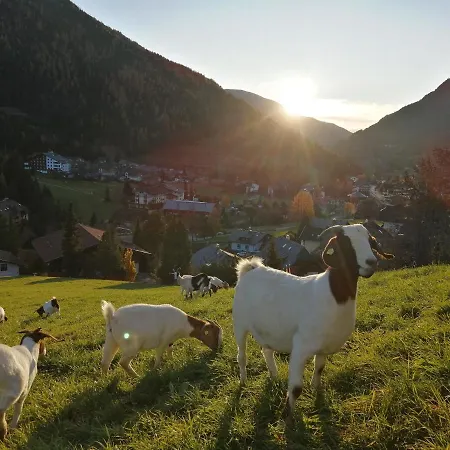 Gutzingerhof בית חווה באד קליניקירשהיים