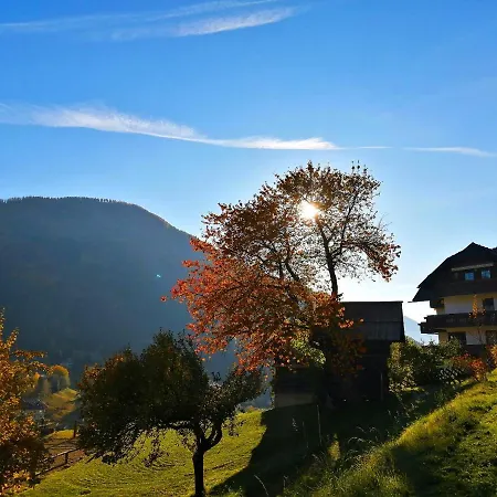 Gutzingerhof באד קליניקירשהיים