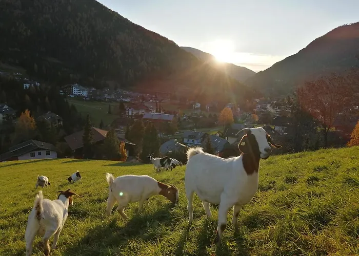 Gutzingerhof Farm stay Bad Kleinkirchheim
