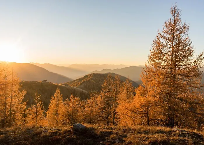 Gutzingerhof Farm stay *