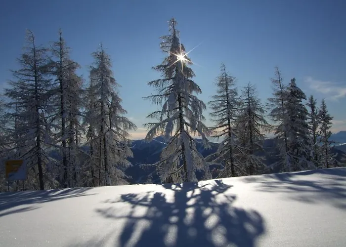 Gutzingerhof Farm stay