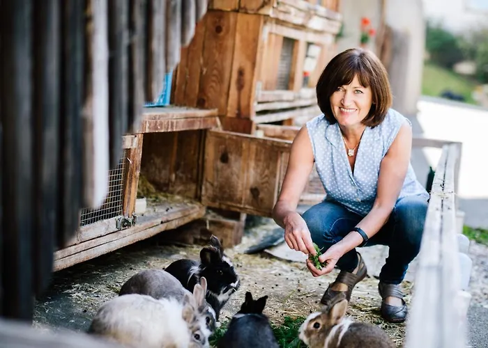 Farm stay Gutzingerhof